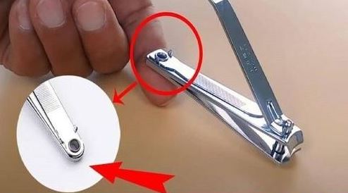 Professional nail clippers, Best nail clippers, How to cut your fingernails properly?, Nail Clippers Amazon, Nail clippers nearby, Nail Clippers Set, Nail clippers Baby, Nail Clippers Walmart,