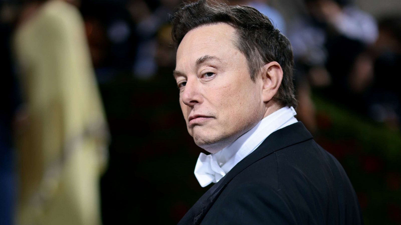 Who is Elon Musk and How Much is He Worth?