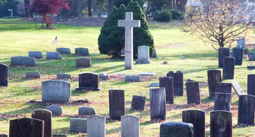 They chose my grave — but forgot I’m more than just kind.