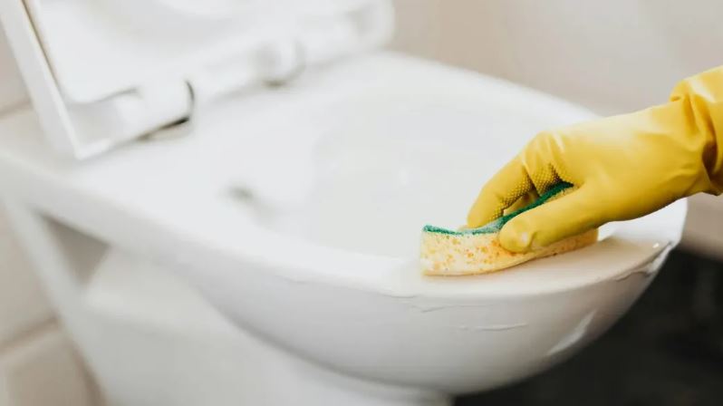 I Posed as a Janitor to Expose Him — But It Backfired.