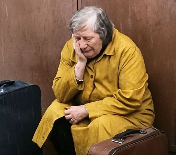 Elderly Care, Friendship, Independence, Family Relationships, Aging, Life Changes, Community, Resilience, Personal Growth, Emotional Well-being, Suburban Life, Unexpected Connections, Isolation, Support Systems, Heartwarming Stories,