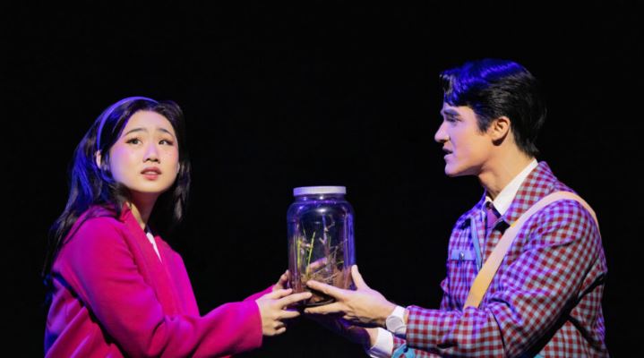 Tony Awards, Broadway, Maybe Happy Ending, Purpose, Sunset Blvd, Eureka Day, Cynthia Erivo, Darren Criss, Nicole Scherzinger, Cole Escola, Sarah Snook, Kara Young, Francis Jue, Jak Malone, Natalie Venetia Belcon, Michael Arden, Sam Pinkleton, Patricia Delgado, Justin Peck, Marco Paguia, Marg Horwell, Paul Tazewell, Jon Clark, Jack Knowles, Paul Arditti, Jonathan Deans, Miriam Buether, Harvey Fierstein, Broadway season 2024-2025