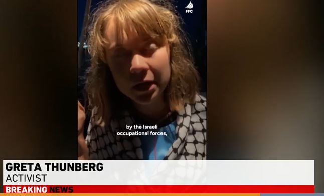 Gaza Flotilla, Madleen, Greta Thunberg, Humanitarian Aid, Naval Blockade, International Law, Freedom Flotilla Coalition, Israel, Palestine, Human Rights, Aid Mission, Crew Detention, Ashdod Port
