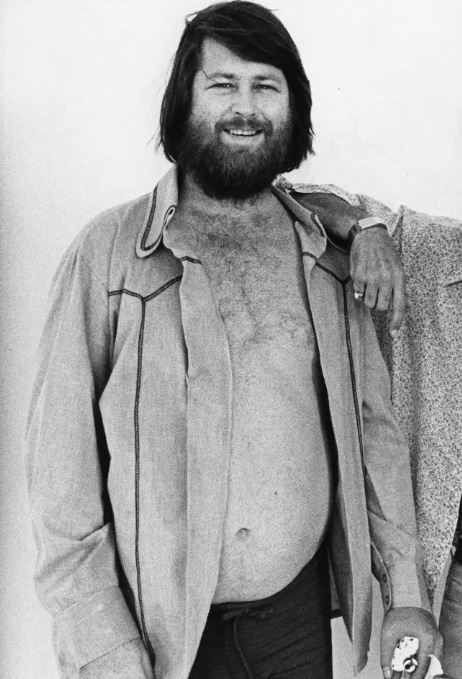 Brian Wilson, The Beach Boys, Music Legend, Surf Rock, Pet Sounds, Smile, Musical Genius, Songwriter, Producer, Rock and Roll, California Sound, Beach Boys Co-Founder