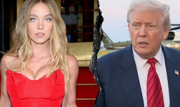Unpacking Trump’s New Tariffs: A Deep Dive into the Projected $300B Impact 3 Donald Trump, Sydney Sweeney, American Eagle, celebrity endorsement, Republican, political affiliation, Hollywood, advertising, social media, political marketing, brand perception, consumer behavior.