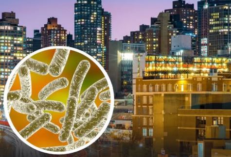 Legionnaires' Disease: What's Happening in New York City? 2 Legionnaires' disease, New York City, outbreak, public health, Harlem, symptoms, risk factors, prevention, cooling towers, bacteria, pneumonia, health department, NYC, safety, antibiotics, water systems, illness
