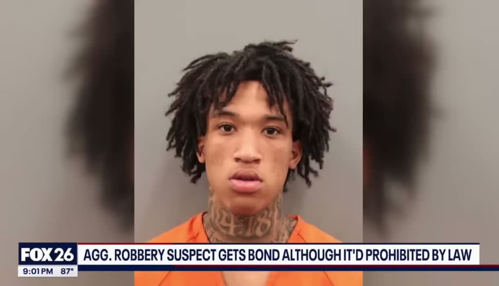 Houston Judge Grants Bond to Violent Repeat Offender 2 Houston, judge, bond, violent, repeat offender, public safety, bail reform, criminal justice, Harris County, court, judicial ruling, justice, community, accountability, law