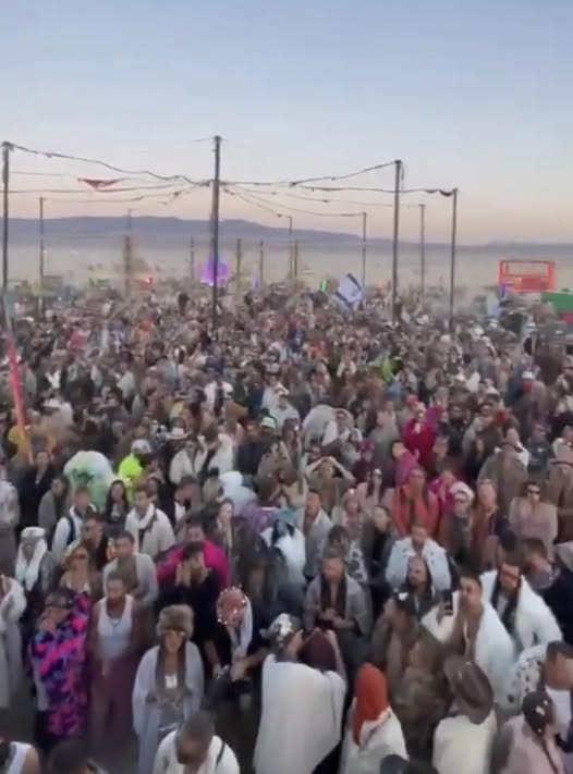 Burning Man’s Shadow: A Mystery in the Desert